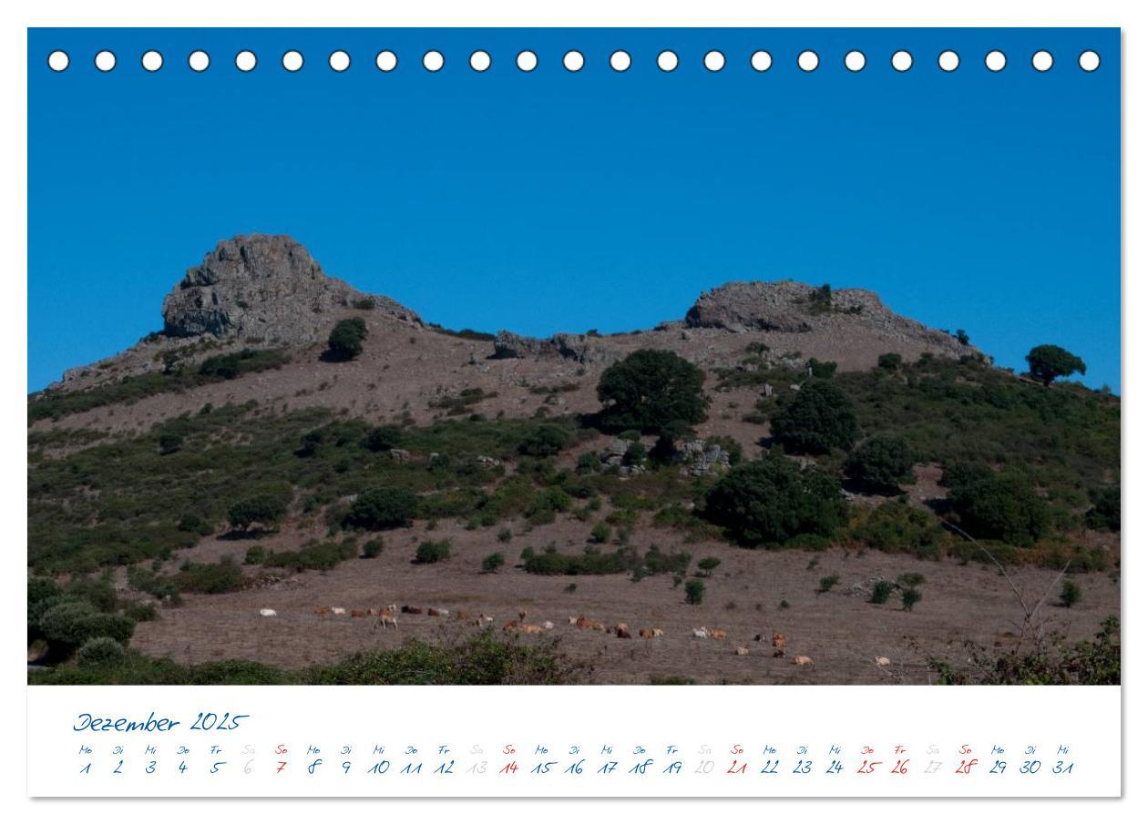 Bild: 9783435738328 | Sardinien (Tischkalender 2025 DIN A5 quer), CALVENDO Monatskalender