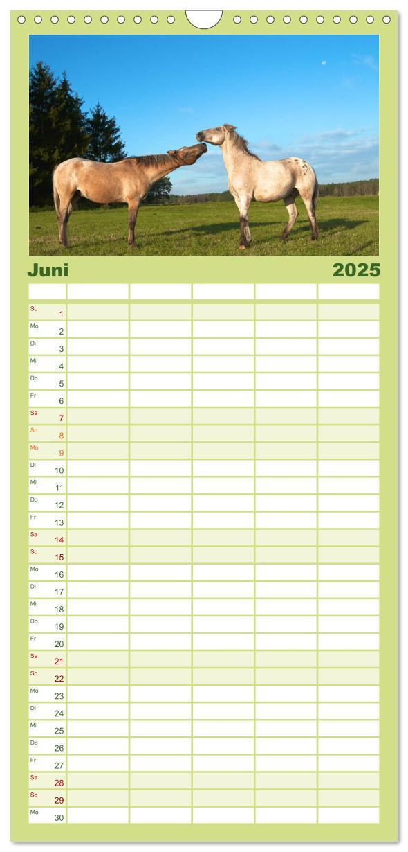 Bild: 9783457111130 | Familienplaner 2025 - Wilde Pferde mit 5 Spalten (Wandkalender, 21...