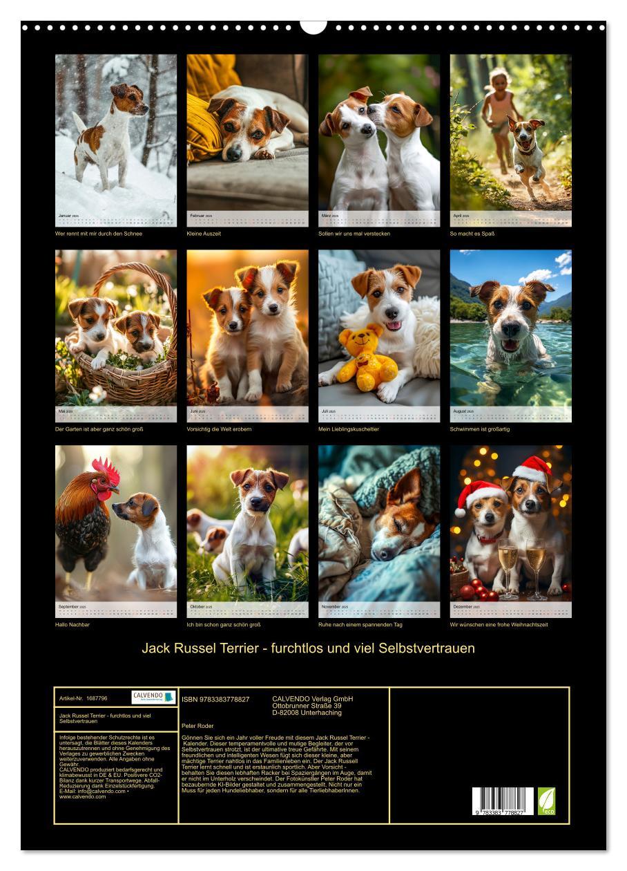 Bild: 9783383778827 | Jack Russel Terrier - furchtlos und viel Selbstvertrauen...