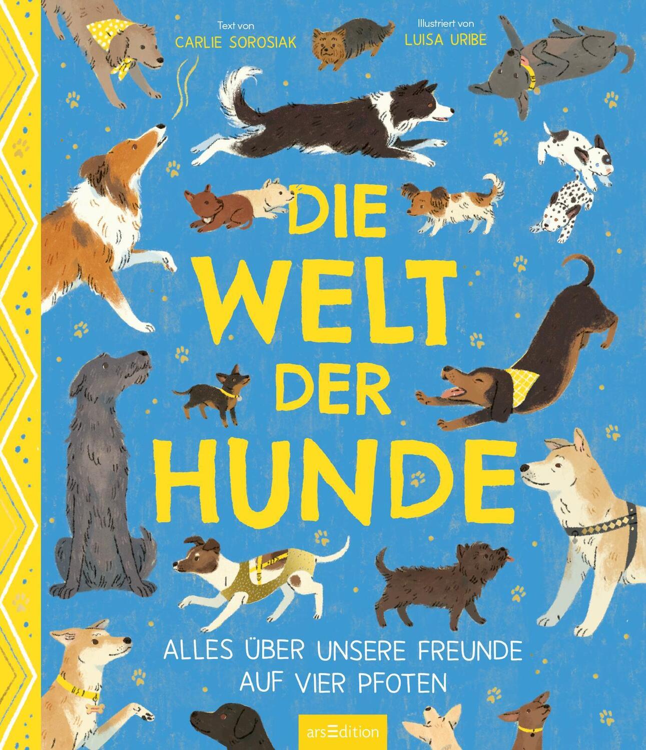 Bild: 9783845858432 | Die Welt der Hunde | Alles über unsere Freunde auf vier Pfoten | Buch