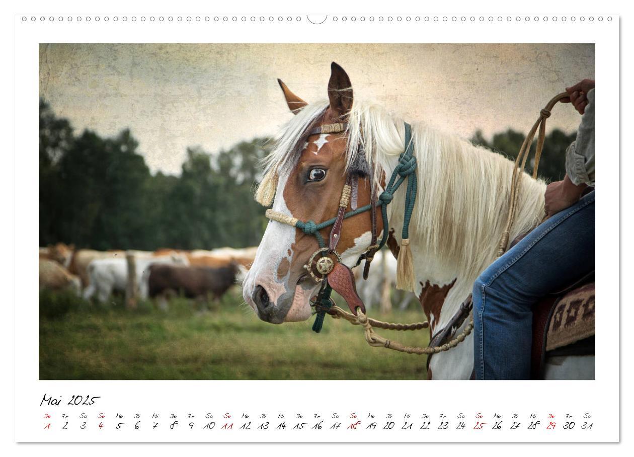 Bild: 9783435442676 | Mecklenburgs Wilder Westen (hochwertiger Premium Wandkalender 2025...