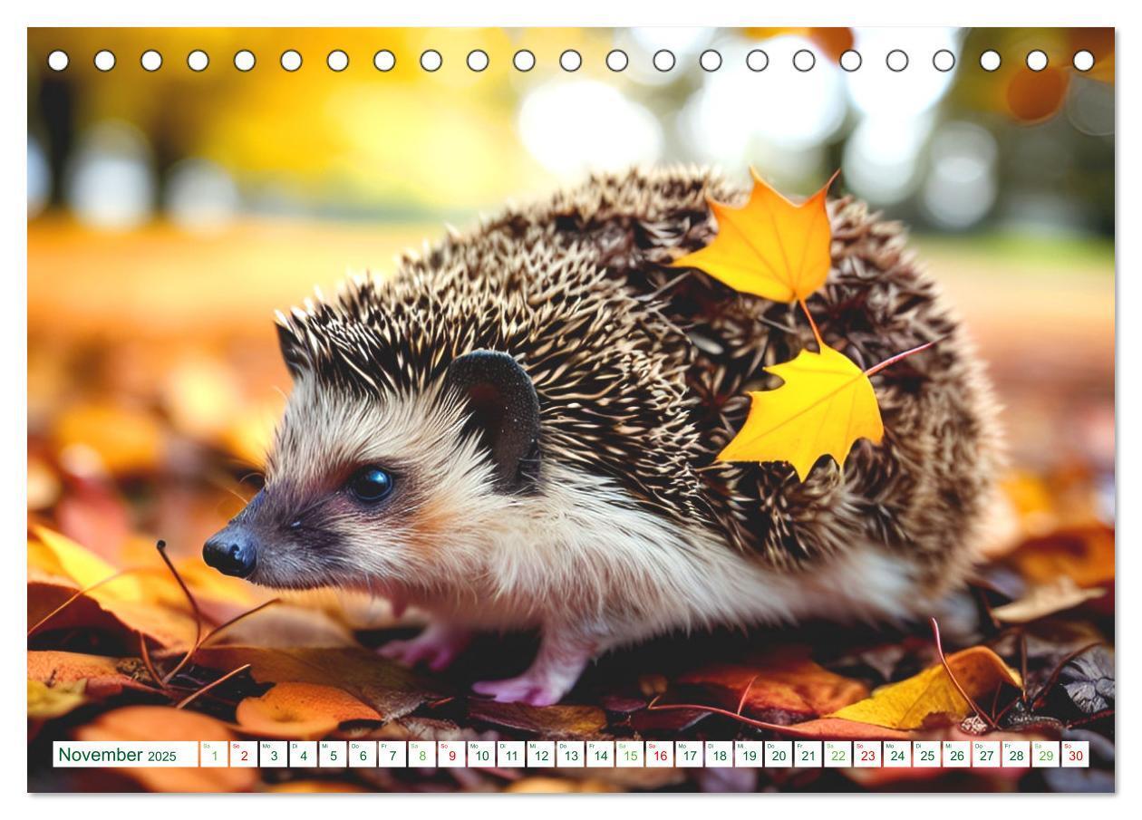 Bild: 9783383869730 | Niedliche Igel (Tischkalender 2025 DIN A5 quer), CALVENDO...