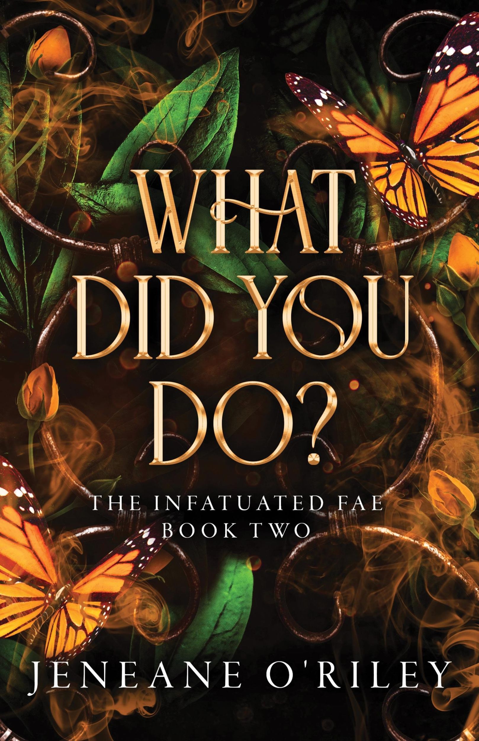 Cover: 9781464226625 | What Did You Do? | Jeneane O'Riley | Taschenbuch | Englisch | 2024