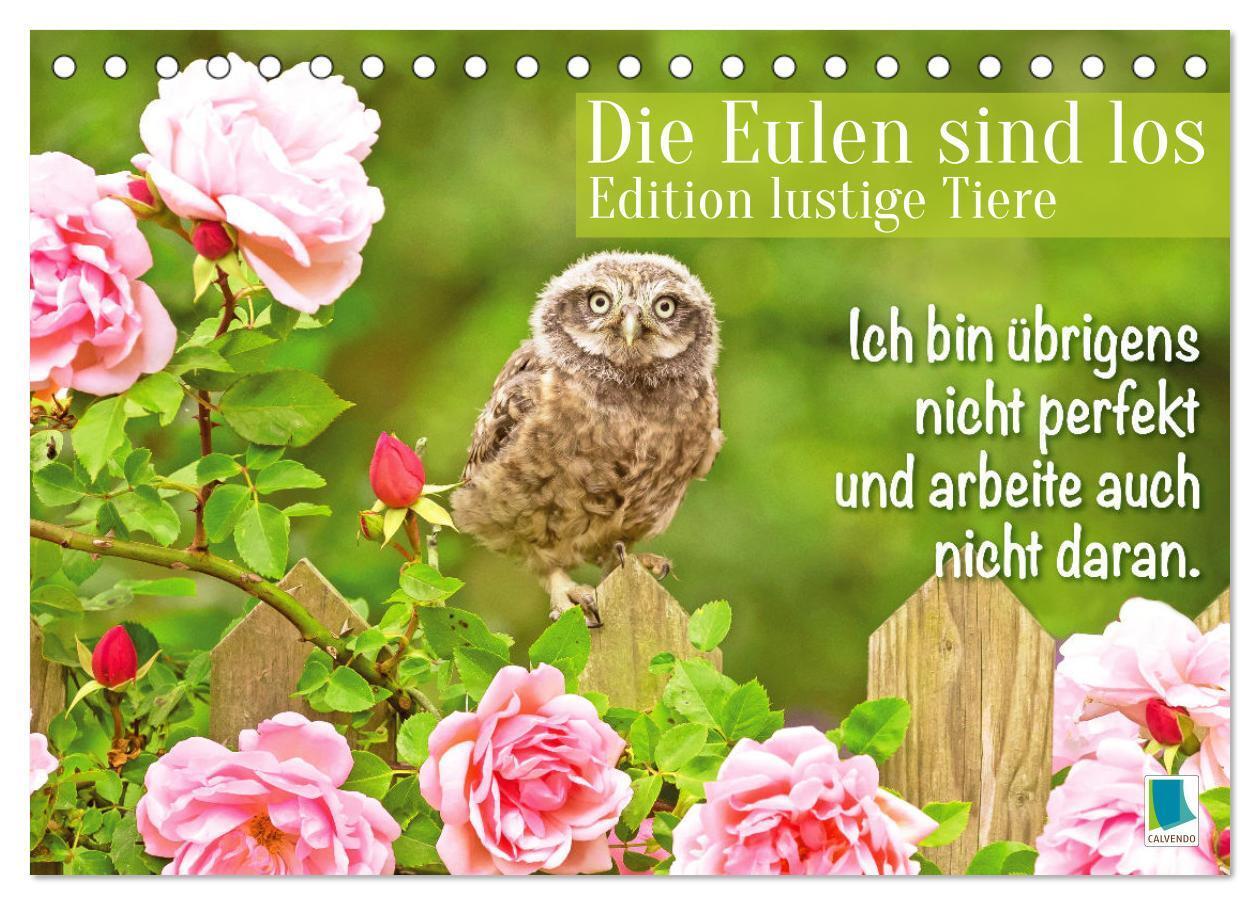 Cover: 9783457179574 | Die Eulen sind los: Edition lustige Tiere (Tischkalender 2025 DIN...