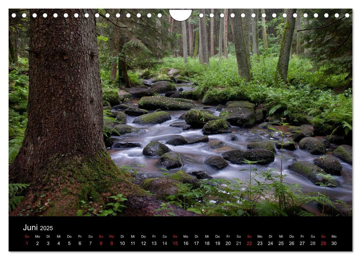 Bild: 9783435835317 | Märchenkulissen - Landschaften der Oberpfalz (Wandkalender 2025 DIN...