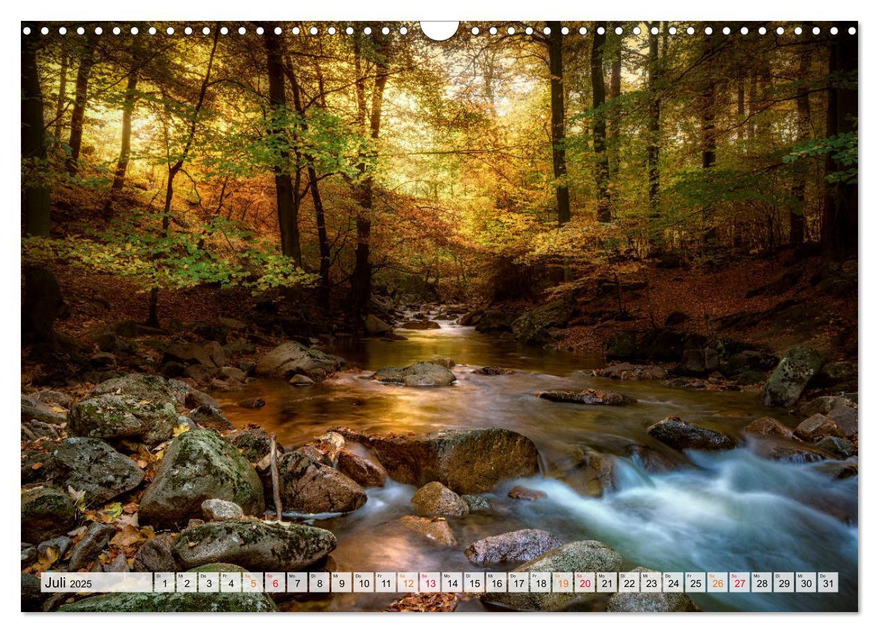 Bild: 9783435071623 | Wald - mystische Spaziergänge (Wandkalender 2025 DIN A3 quer),...