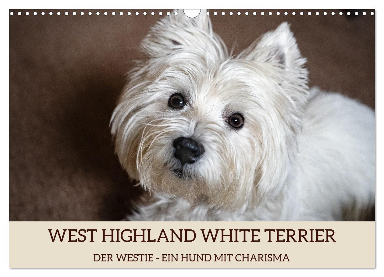 Cover: 9783383906077 | WEST HIGHLAND WHITE TERRIER - DER WESTIE - EIN HUND MIT CHARISMA...