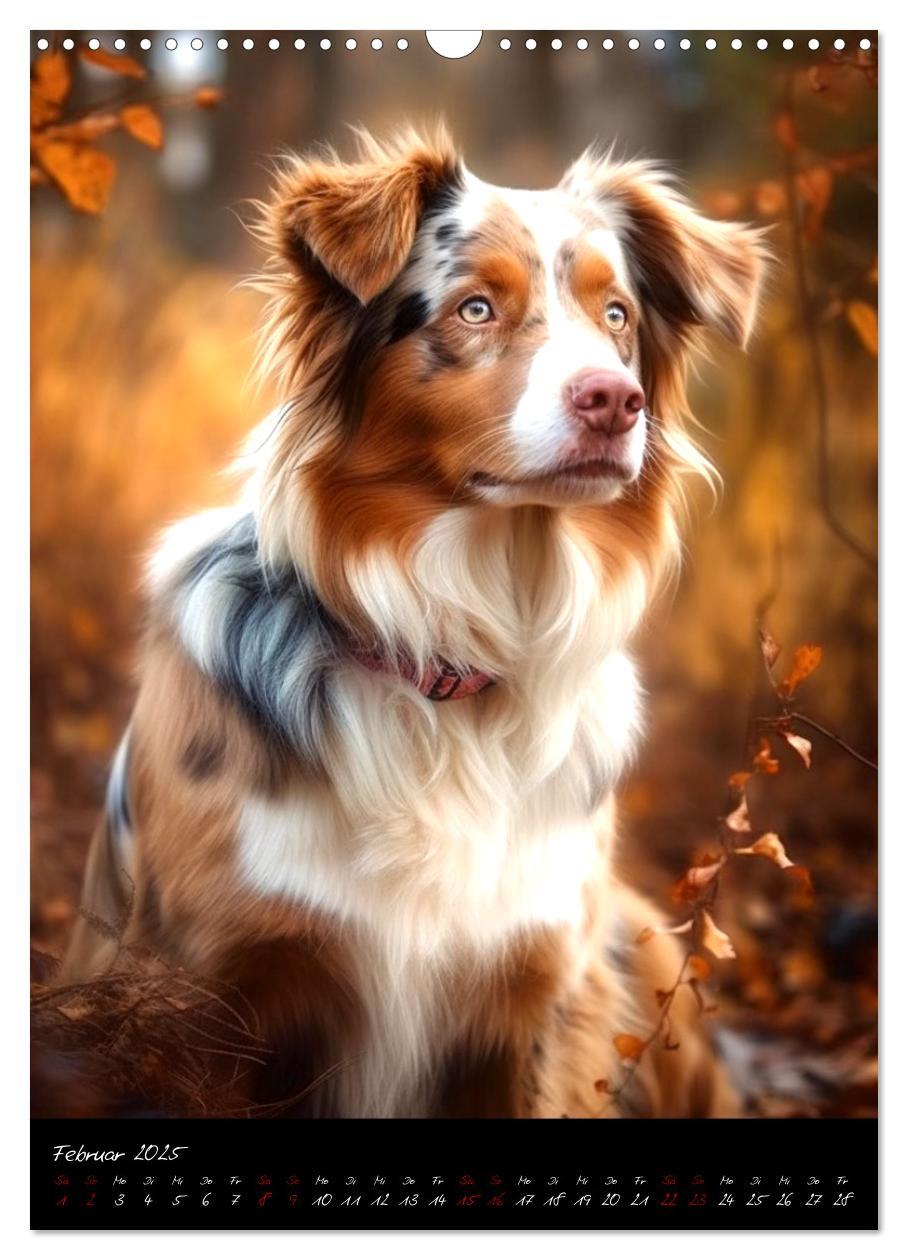 Bild: 9783435876648 | Australian Shepherd (Wandkalender 2025 DIN A3 hoch), CALVENDO...