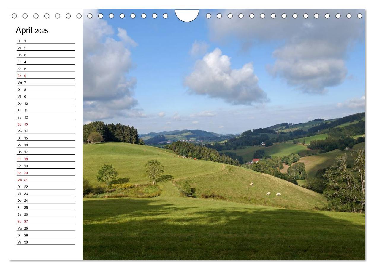 Bild: 9783435525058 | Südschwarzwald - Impressionen (Wandkalender 2025 DIN A4 quer),...