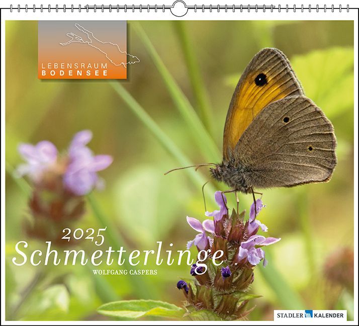 Cover: 9783861924272 | Lebensraum Bodensee - Schmetterlinge 2025 | Wolfgang Caspers | 13 S.