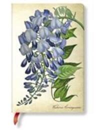 Cover: 9781439735718 | LIN: PAINTED BOTANICALS BLOOMING WISTERIA MIN | LIN | Buch | Gebunden