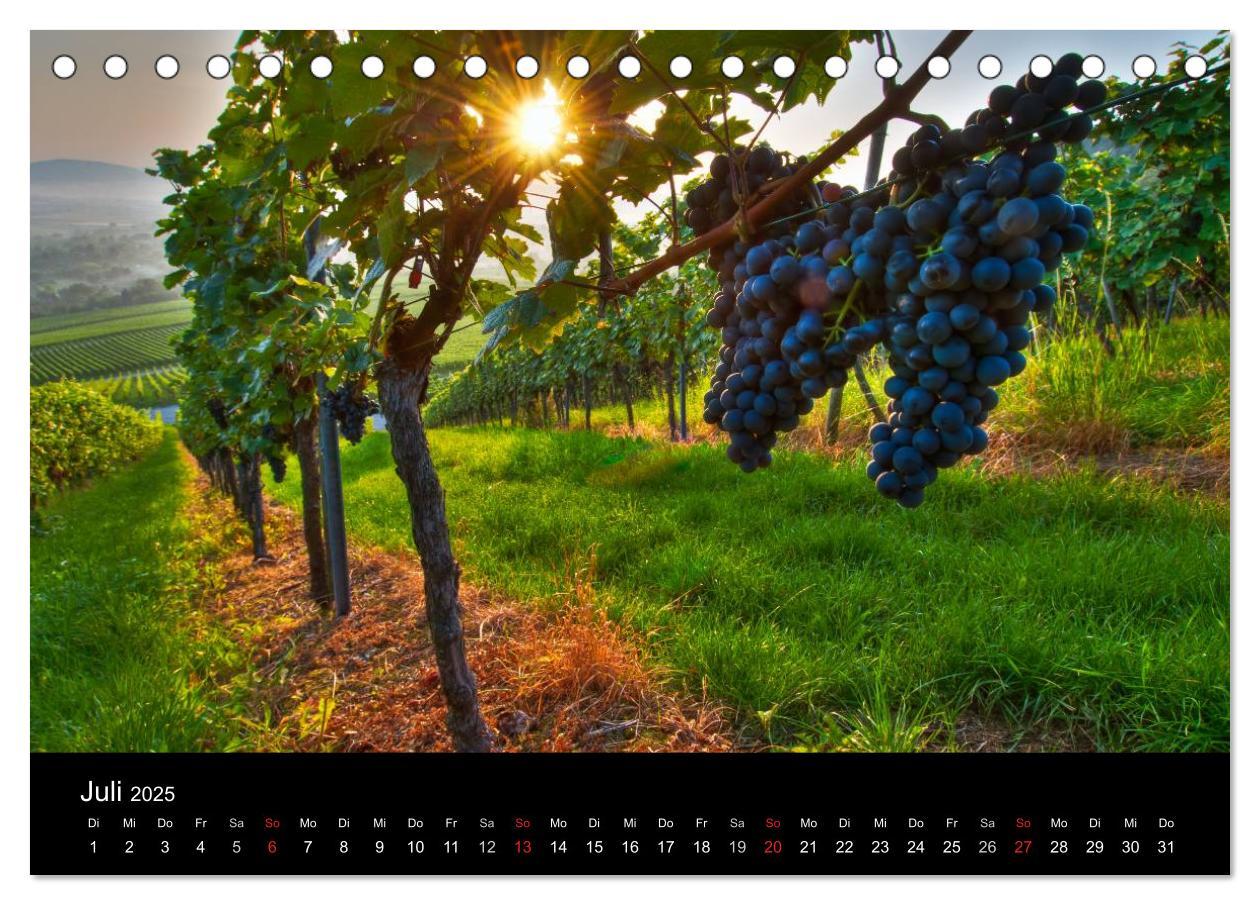 Bild: 9783435718405 | Weinberge im Remstal (Tischkalender 2025 DIN A5 quer), CALVENDO...