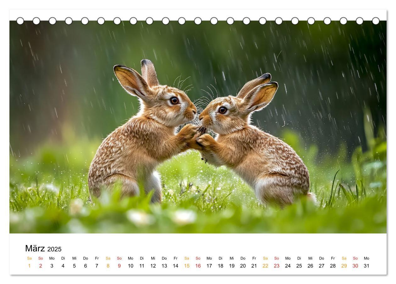 Bild: 9783457212998 | Wilde Tierwelt im Wald (Tischkalender 2025 DIN A5 quer), CALVENDO...