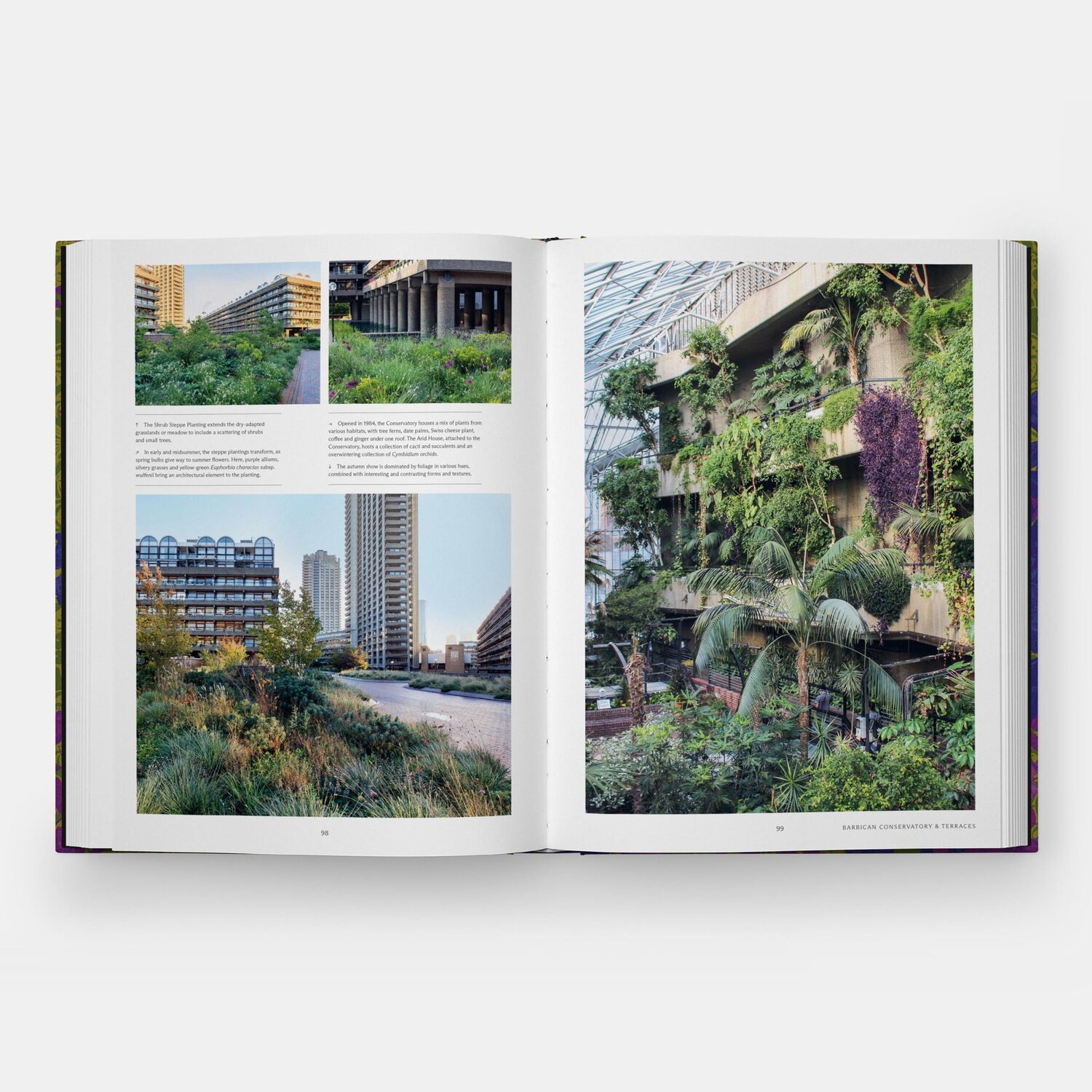 Bild: 9781838666347 | The English Gardener's Garden | Phaidon Editors | Buch | Phaidon Press