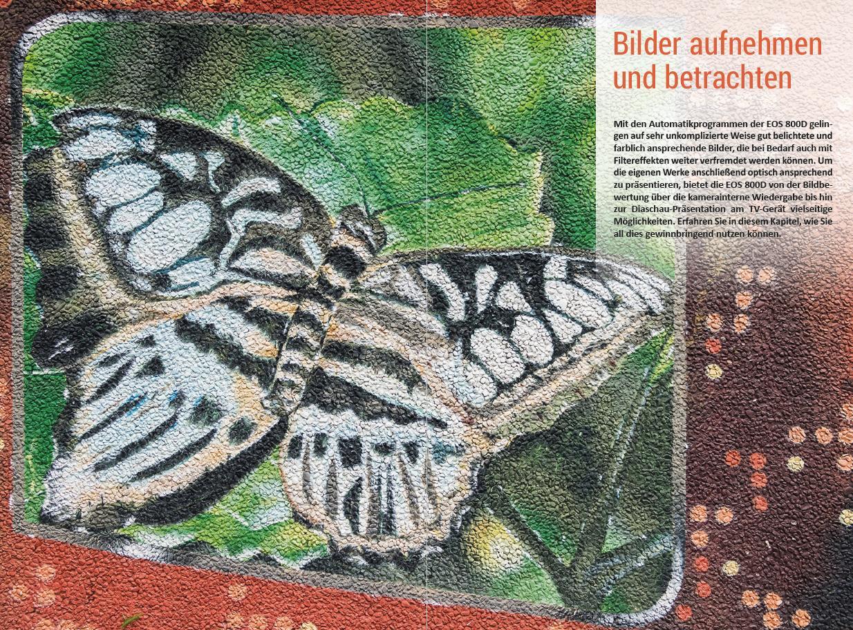 Bild: 9783832802585 | Canon EOS 800D - Für bessere Fotos von Anfang an | Kyra Sänger (u. a.)