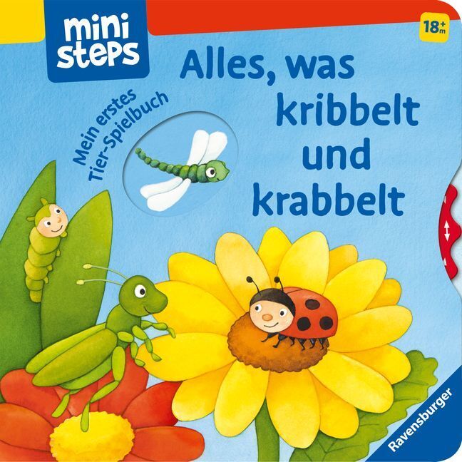 Cover: 9783473300549 | ministeps: Alles, was kribbelt und krabbelt | Susanne Gernhäuser