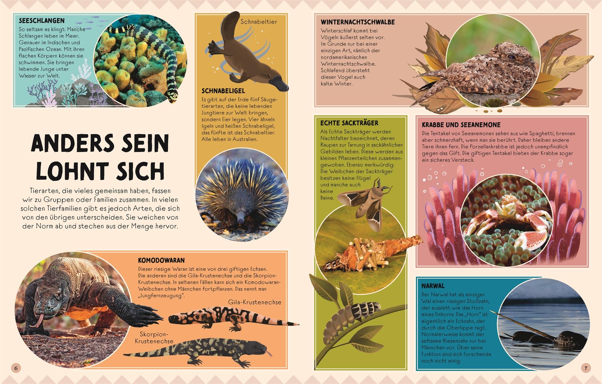 Bild: 9783831050574 | Seltsame Tiere, die es wirklich gibt | Ben Hoare | Buch | 80 S. | 2025