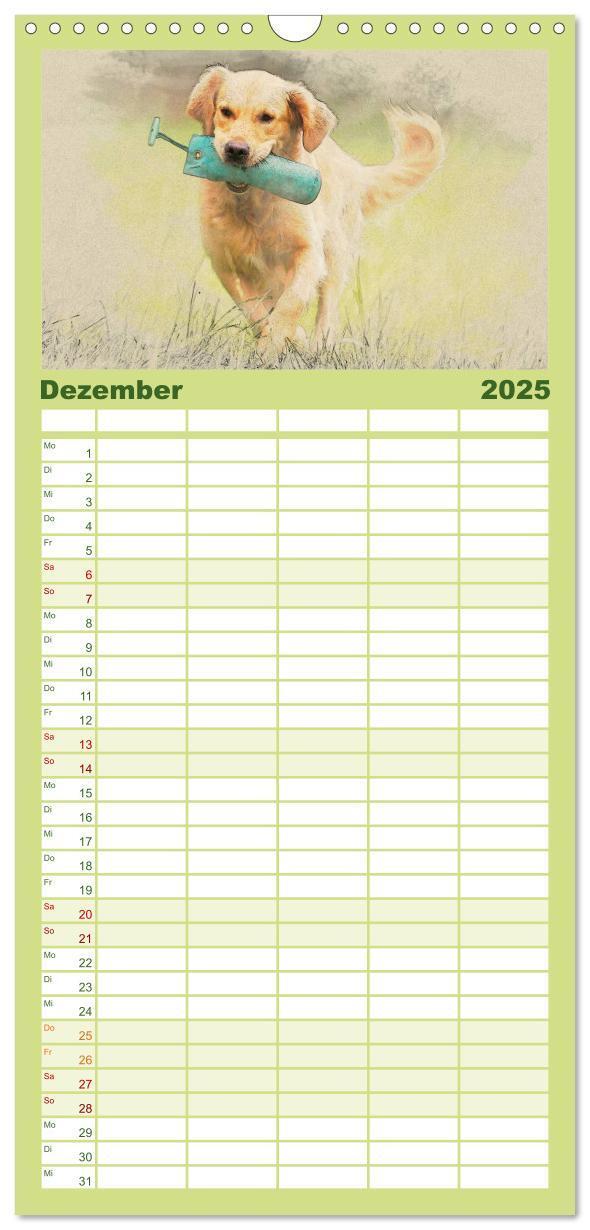 Bild: 9783457117880 | Familienplaner 2025 - Golden Retriever mit 5 Spalten (Wandkalender,...