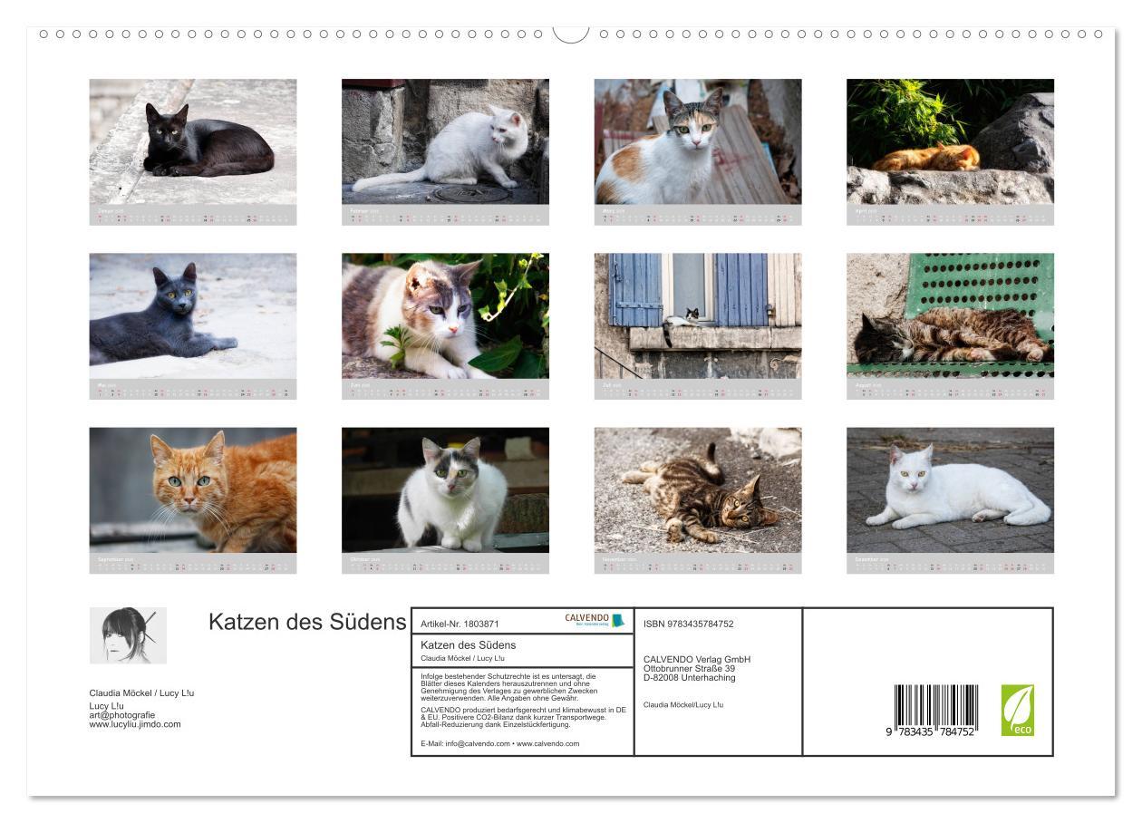 Bild: 9783435784752 | Katzen des Südens (hochwertiger Premium Wandkalender 2025 DIN A2...