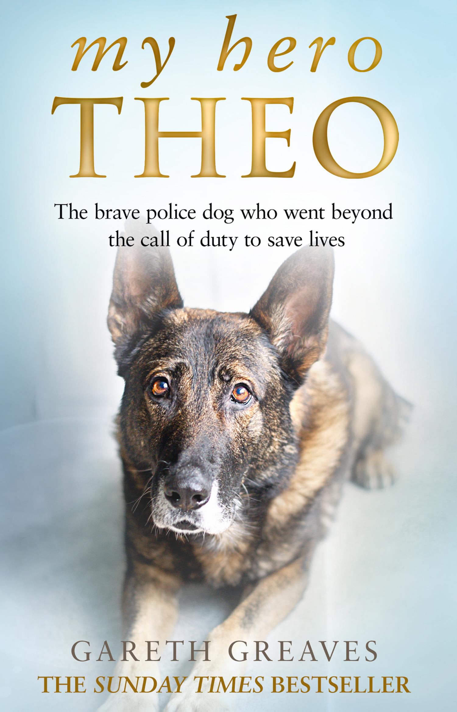 Cover: 9780008385248 | My Hero Theo | Gareth Greaves | Taschenbuch | Kartoniert / Broschiert