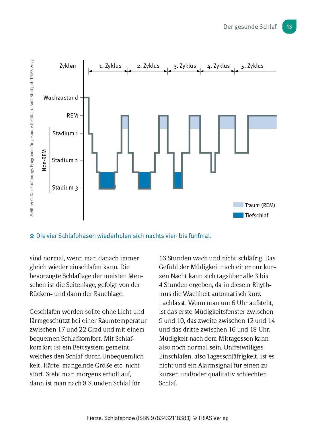 Bild: 9783432118383 | Schlafapnoe | Ingo Fietze | Taschenbuch | Broschiert (KB) | 128 S.