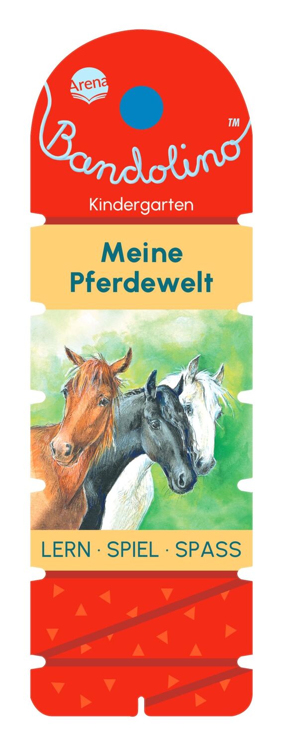 Cover: 9783401720852 | Bandolino. Meine Pferdewelt | Friederike Barnhusen | Taschenbuch