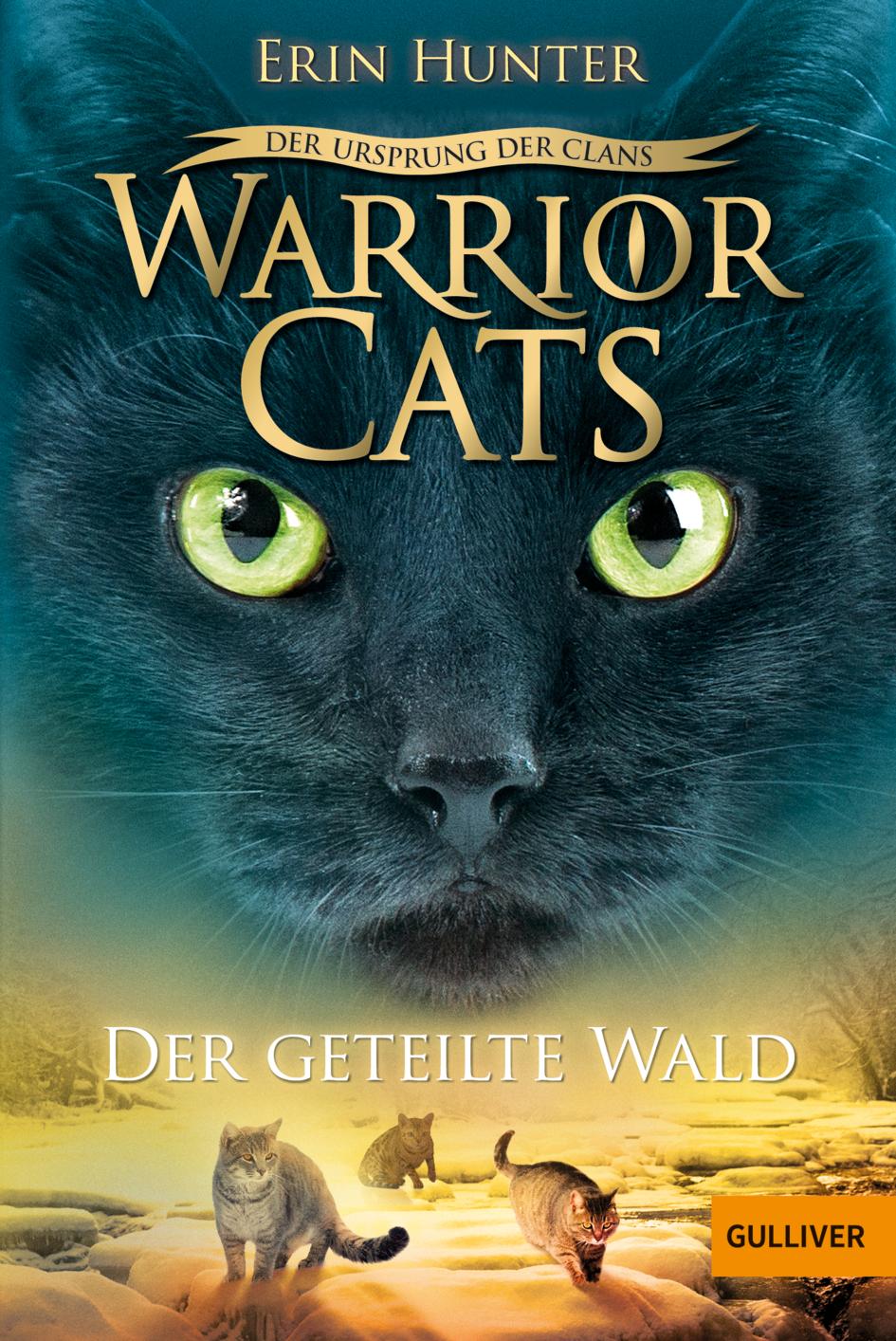 Cover: 9783407755384 | Warrior Cats Staffel 5/05 - Der Ursprung der Clans. Der geteilte Wald