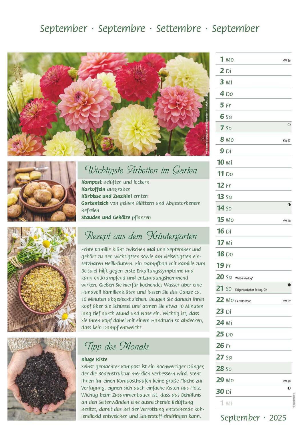 Bild: 4251732341077 | Das Gartenjahr 2025 - Bildkalender 23,7x34 cm - mit saisonalen...