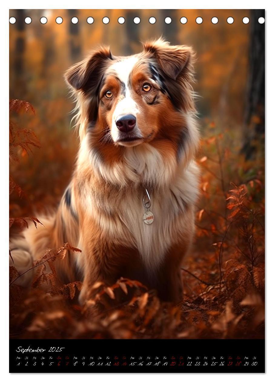 Bild: 9783435877249 | Australian Shepherd (Tischkalender 2025 DIN A5 hoch), CALVENDO...