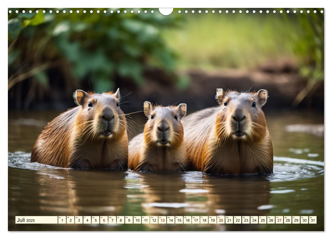 Bild: 9783457143780 | Capybaras - Wasserschweine die Herren der Gräser (Wandkalender 2025...