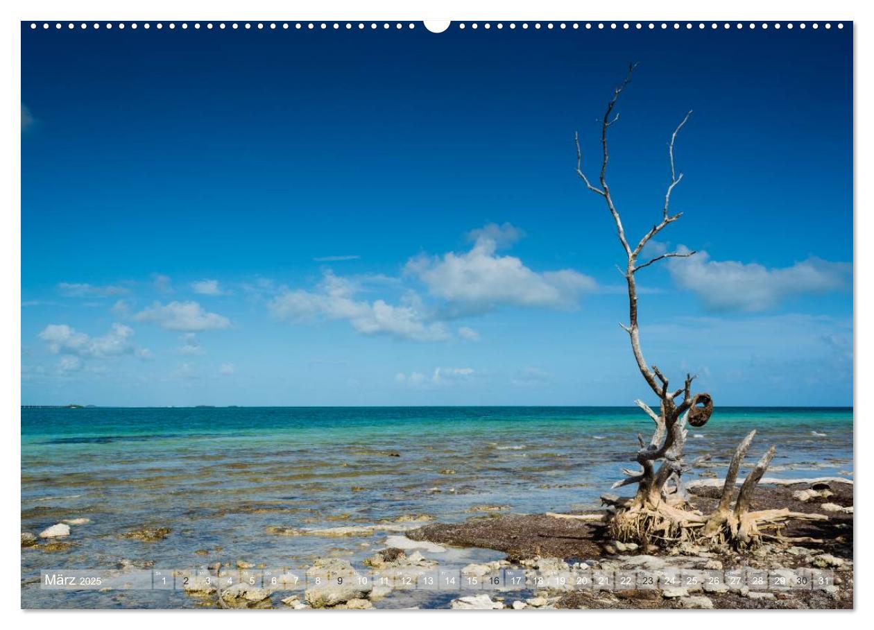 Bild: 9783435601912 | Florida. Sonne und Meer (Wandkalender 2025 DIN A2 quer), CALVENDO...