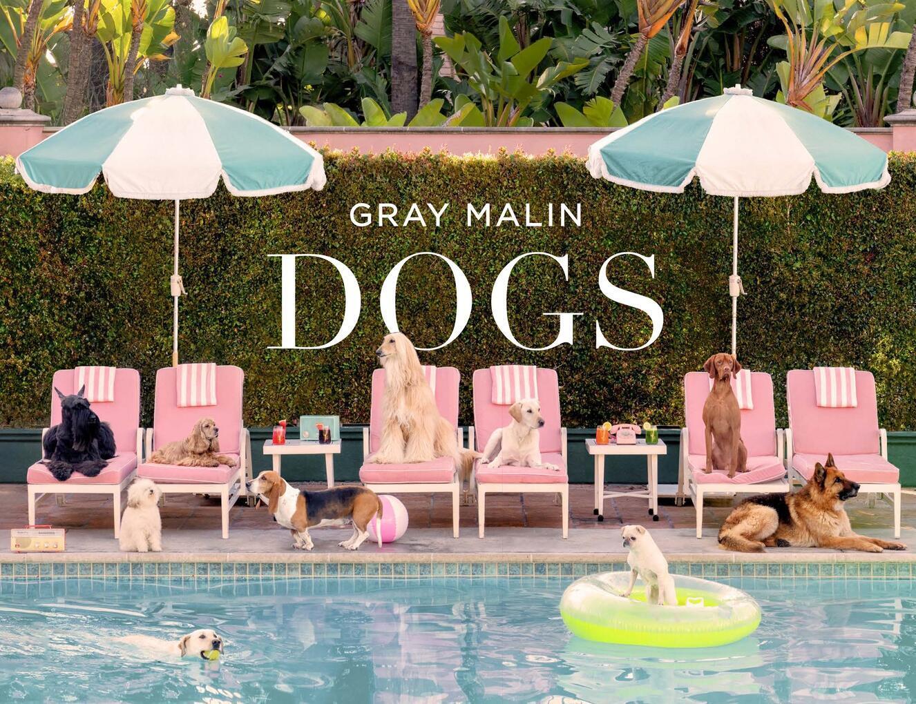 Cover: 9781419769238 | Gray Malin: Dogs | Gray Malin | Buch | Englisch | 2024