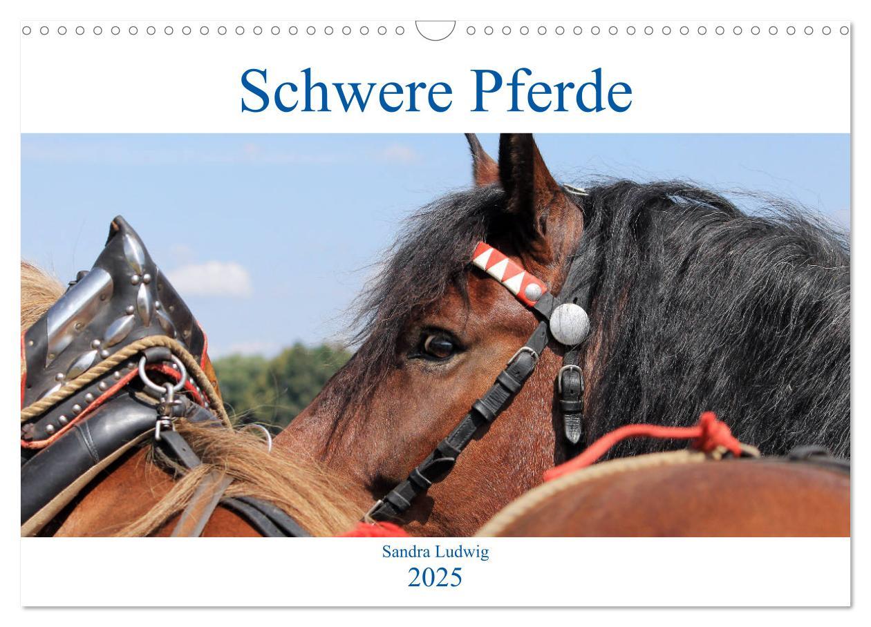 Cover: 9783435396955 | Schwere Pferde 2025 (Wandkalender 2025 DIN A3 quer), CALVENDO...