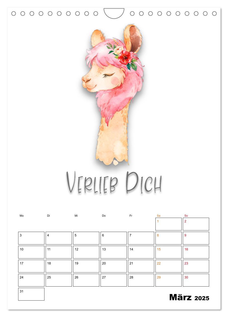 Bild: 9783435904150 | Bleib cool - Gute-Laune-Kalender (Wandkalender 2025 DIN A4 hoch),...