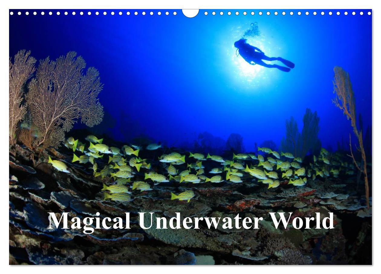 Cover: 9781325939084 | Magical Underwater World (Wall Calendar 2025 DIN A3 landscape),...