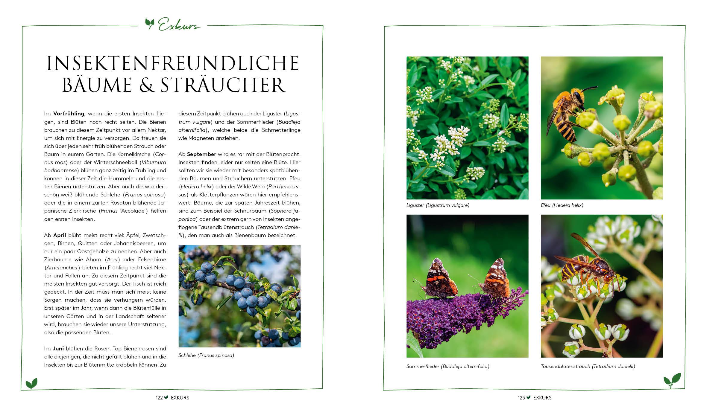 Bild: 9783745903041 | Gartenplanung leicht gemacht - Fair und nachhaltig! | Ina Timm | Buch