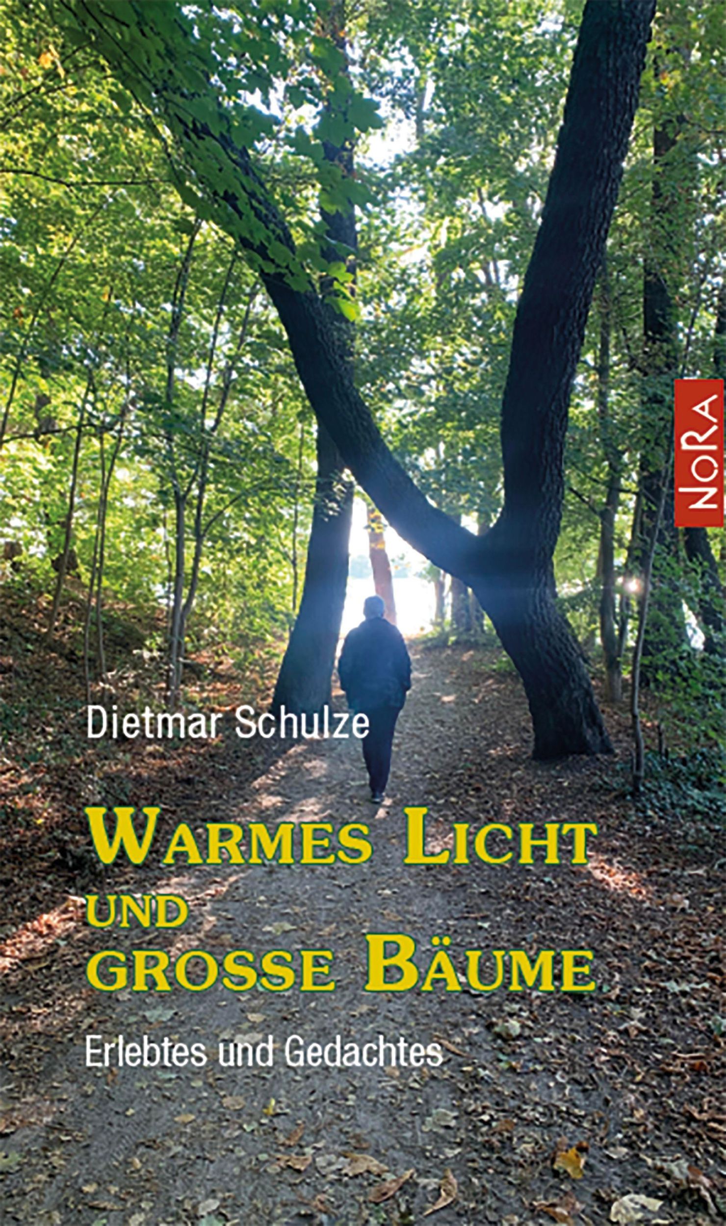 Cover: 9783865575173 | Warmes Licht und große Bäume | Erlebtes und Gedachtes | Schulze | Buch