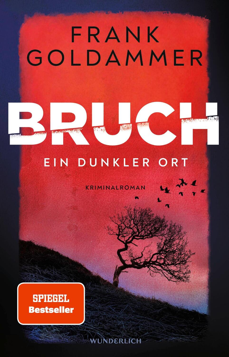 Cover: 9783805200905 | Bruch: Ein dunkler Ort | Ein dunkler Ort | Frank Goldammer | Buch