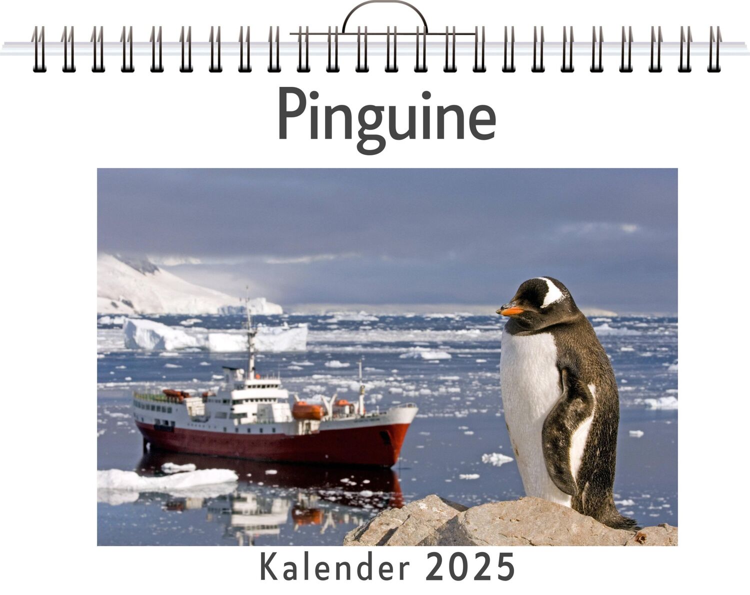 Cover: 9783759131171 | Pinguine | Matteo Neumann | Kalender | Kalender | 14 S. | Deutsch