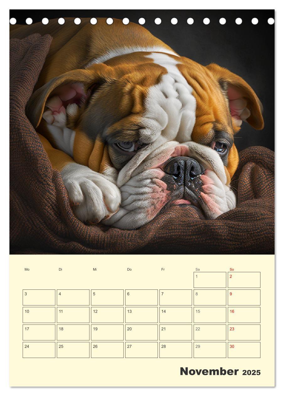 Bild: 9783435876600 | English Bulldogs. Fröhliche Dickköpfe mit Charakter (Tischkalender...