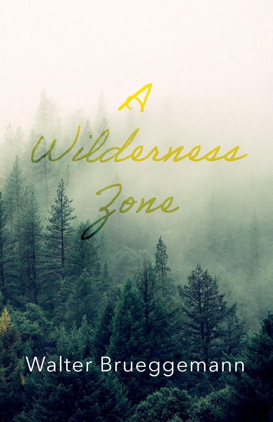 Cover: 9781666701234 | A Wilderness Zone | Walter Brueggemann | Taschenbuch | Paperback