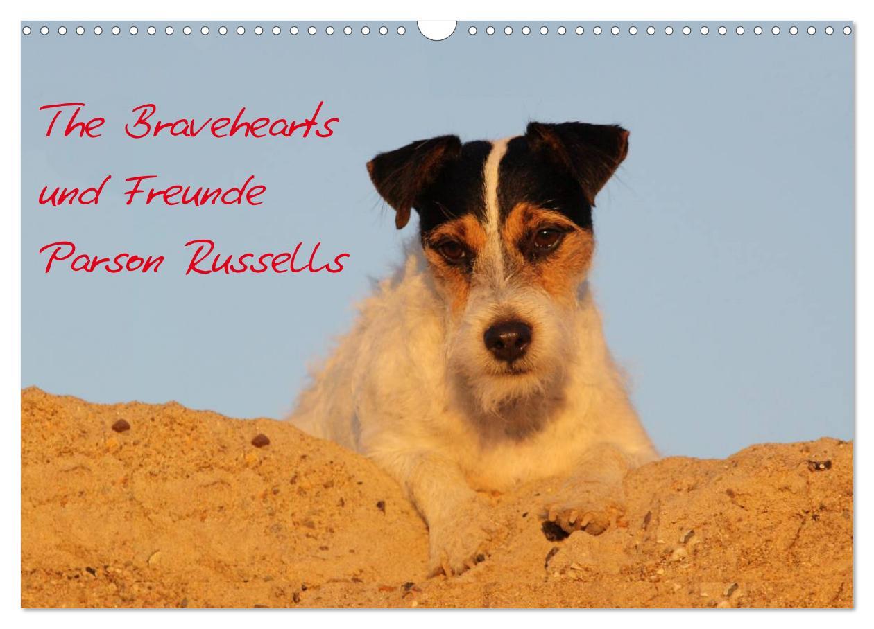 Cover: 9783435517787 | The Bravehearts und Freunde - Parson Russells (Wandkalender 2025...