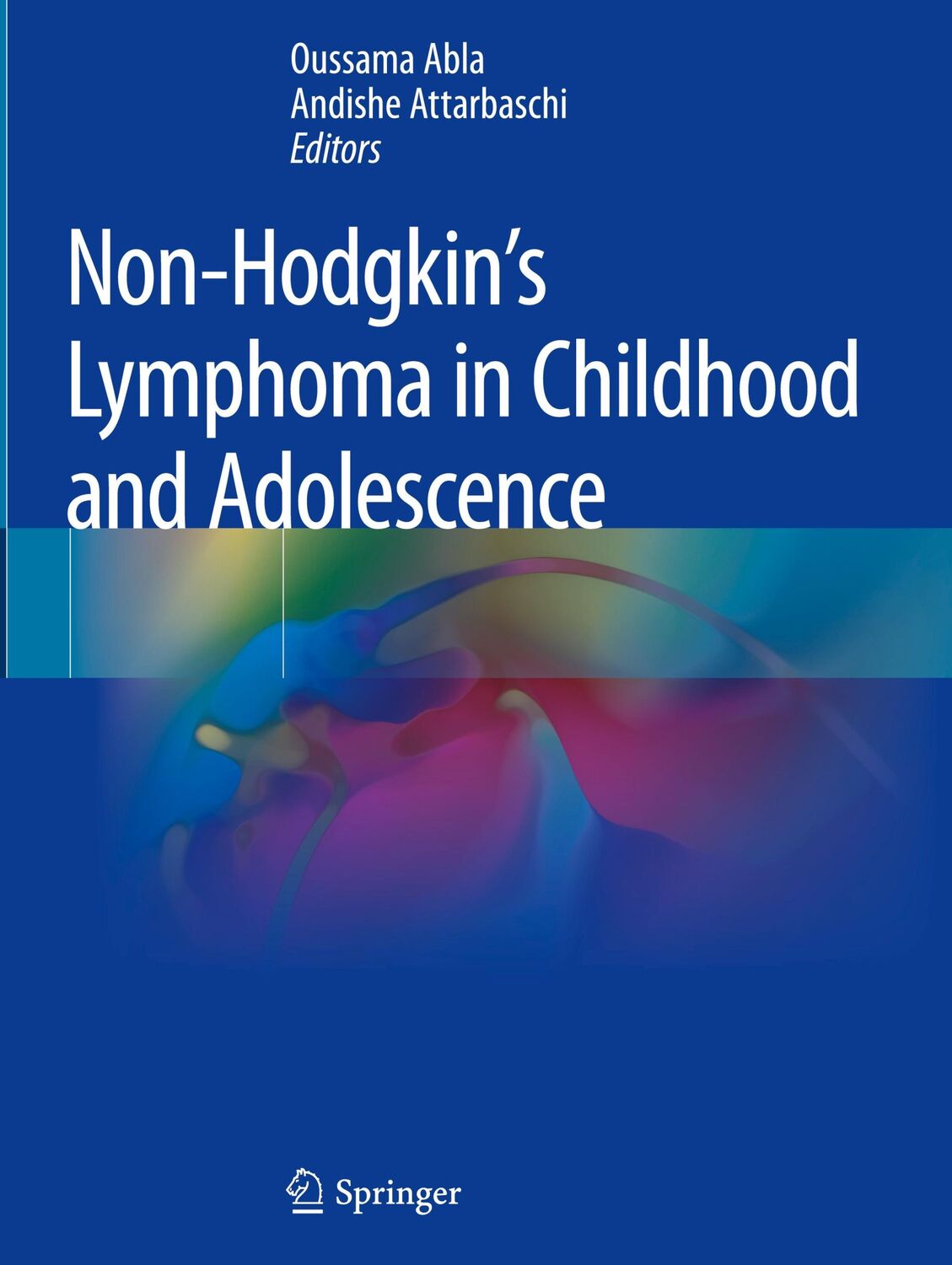 Cover: 9783030117689 | Non-Hodgkin's Lymphoma in Childhood and Adolescence | Buch | xii