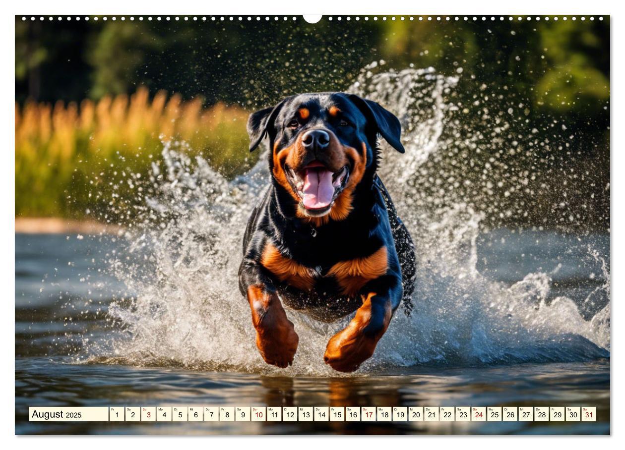 Bild: 9783457128886 | Rottweiler - die Beschützer (Wandkalender 2025 DIN A2 quer),...