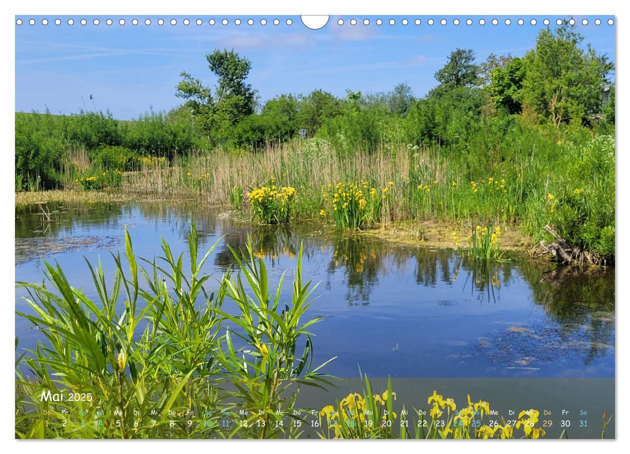 Bild: 9783457199244 | Moorträume - Naturschönheit in Bildern (Wandkalender 2025 DIN A3...