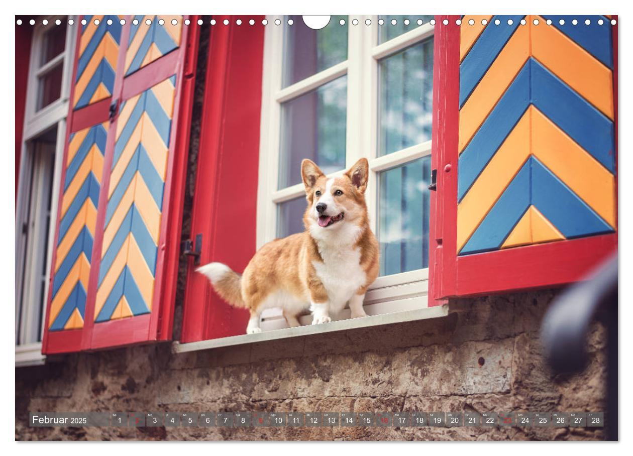 Bild: 9783435118502 | Welsh Corgi - Der Kobold unter den Hunden (Wandkalender 2025 DIN A3...