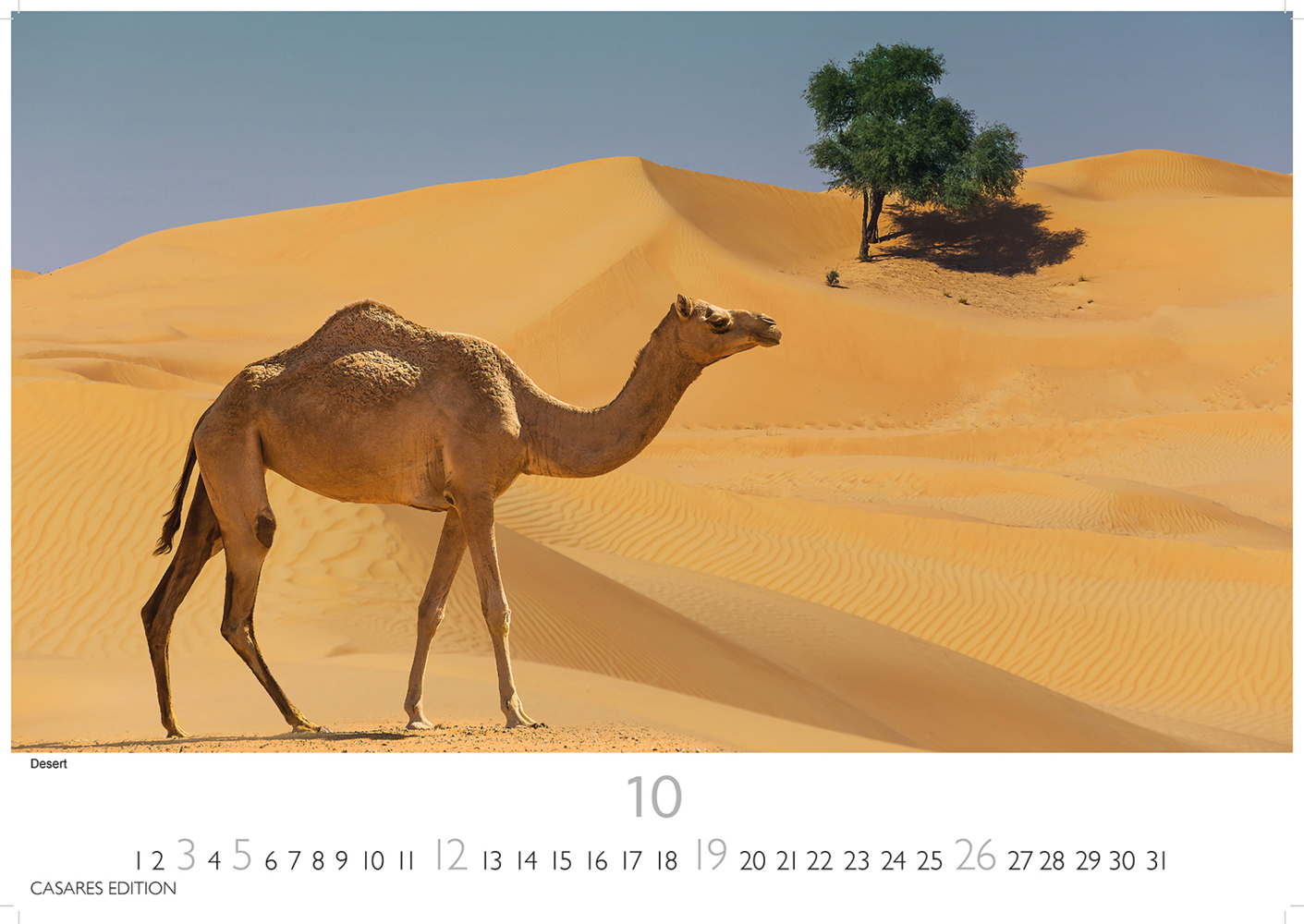 Bild: 9781835240885 | Duba/Abu Dhabi 2025 L 35x50cm | Kalender | 14 S. | Deutsch | 2025