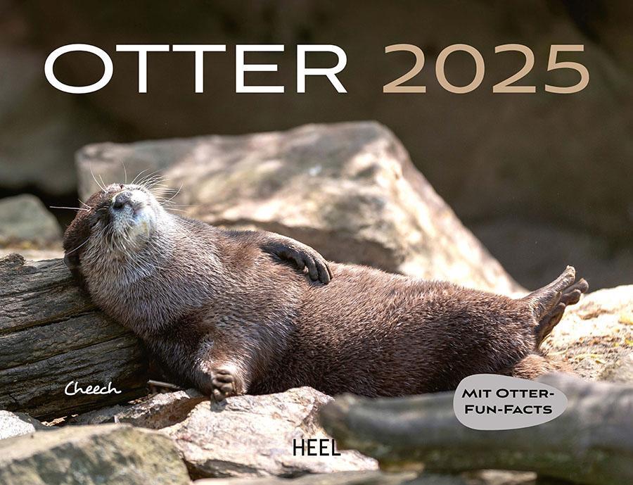 Cover: 9783966648592 | Otter Kalender 2025 Wandkalender | Kalender | Spiralbindung | 14 S.