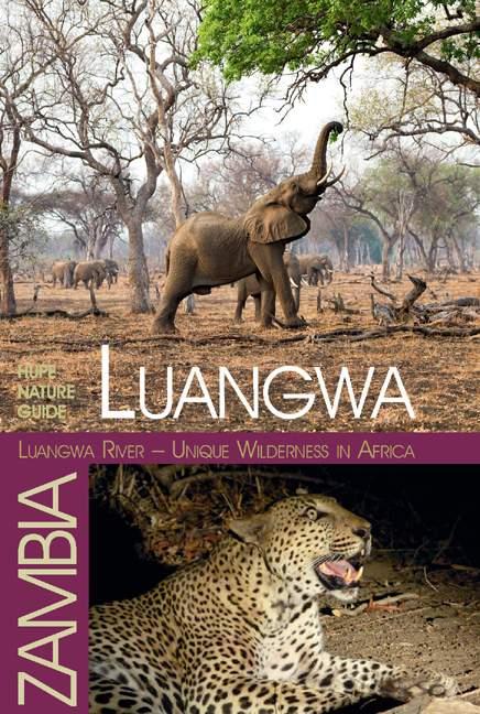 Cover: 9783932084027 | Luangwa River - Unique Wilderness in Africa | Ilona Hupe | Taschenbuch