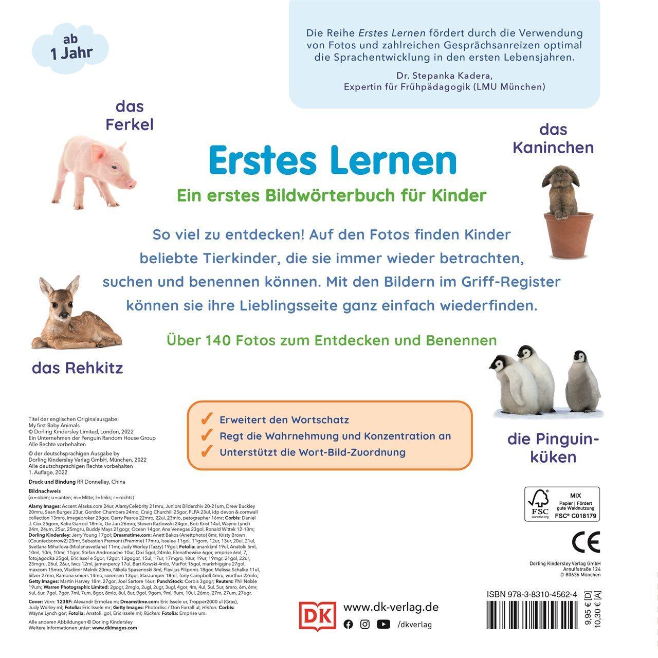 Rückseite: 9783831045624 | Erstes Lernen. Tierkinder | Buch | Erstes Lernen | 28 S. | Deutsch